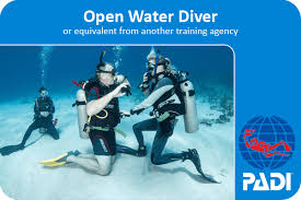  CERTIFICATE IN BASIC OPEN WATER DIVER